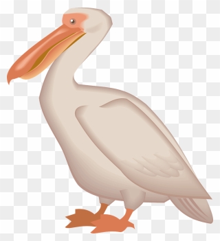 Brown Pelican Bird Clip Art - Pelican Clipart Transparent - Png Download