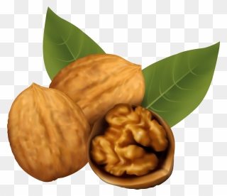 Nuts Clipart Walnut, Nuts Walnut Transparent Free For - Transparent Walnut Clipart - Png Download