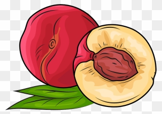 Whole Nectarine And A Half Clipart - Png Download