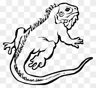 Free Iguana Clipart Black And White, Download Free - Outline Iguana Clipart - Png Download