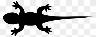 Lizard Gecko Silhouette Clip Art - Lizard Silhouette - Png Download