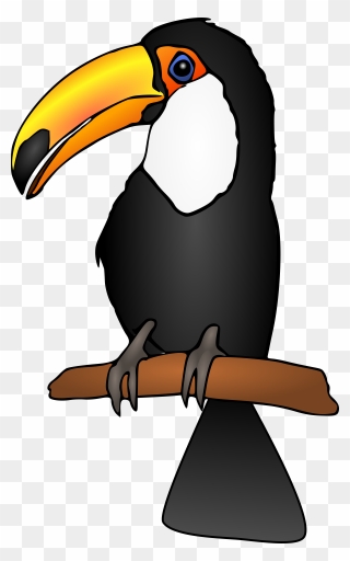 Collection Of Toucan - Toucan Clipart - Png Download