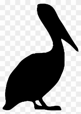 Bird Brown Pelican Clip Art - Pelican Clip Art - Png Download