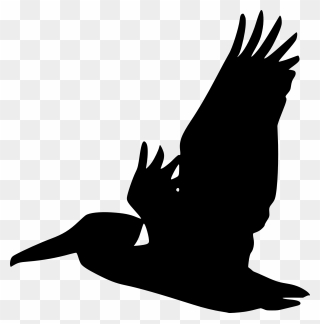 Pelican Bird Silhouette Clip Art - Silhouette Pelican Clipart - Png Download