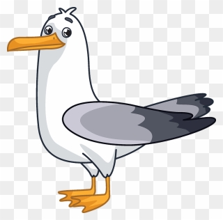Seagull Clipart - Cartoon - Png Download