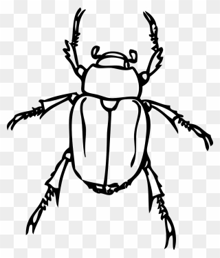 Vector Insects Drawing Transparent Png Clipart Free - Beetles Black And White