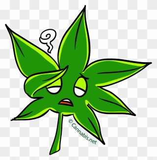 Marijuana Clipart Daun - Cannabis - Png Download