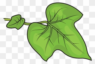 Morning Glory Leaf Clipart - Png Download