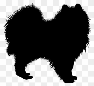 Dogs Vector Pomeranian - Pomeranian Dog Silhouette Vector Clipart