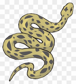 Anaconda Clipart Desert Snake - Clip Art Of A Snake - Png Download