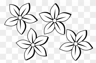 Clip Art Black And White Stock Cosmos Drawing Realistic - Flower Black And White - Png Download
