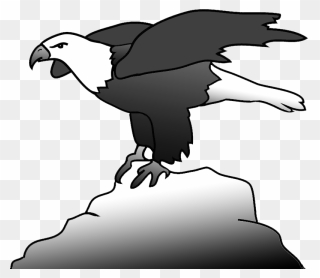 Bald Eagle On A Rock Clipart - Bald Eagle - Png Download