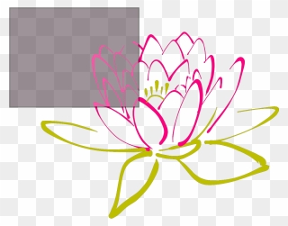 Water Lily Black And White Png Clipart