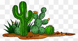 Newbie Cactus Town Tragedy - Desert Cactus Clip Art - Png Download