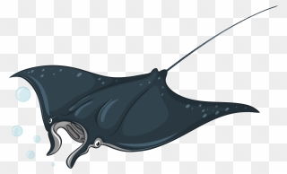 Types Of Sea Animals - Stingray Illustration Clipart