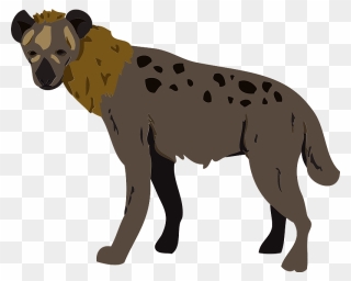 Hyena Animal Clipart - ハイエナ イラスト - Png Download