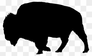 Bison Silhouette Png - Silhouette Bison Clipart Transparent Png