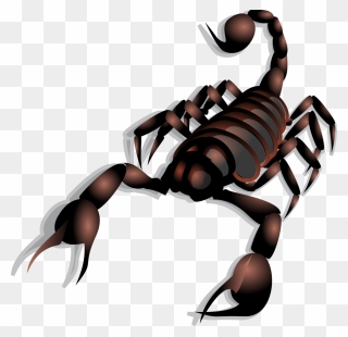 Scorpion Clip Art - Png Download
