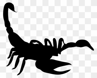 Shape Png Icon Free - Scorpion Icon Clipart