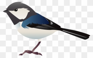 Coal Tit Bird Clipart - European Swallow - Png Download