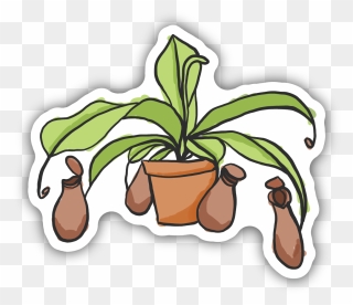 Pitcher Plant Sticker Clipart