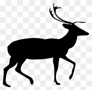 Elk,wildlife,tail - Deer Vector Png Clipart