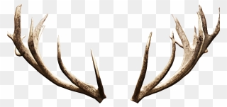 Antler Deer Image Editing - Deer Horns Png Clipart