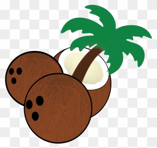 South Florida Coconuts - Coconut Seed Cartoon Clipart