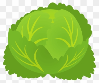 Cabbage Clipart - Png Download