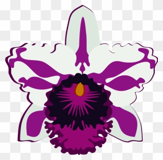 Cattleya-07k - Orchid Drawing Easy Clipart