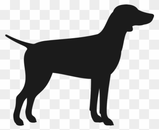 Labrador Retriever Flat-coated Retriever Dog Breed - Dog Silhouette Pointer Transparent Clipart