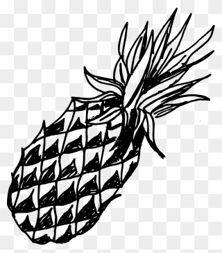 Pineapple Old Drawing Clipart