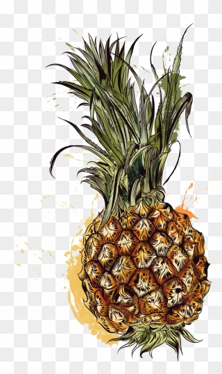 Pineapple Tropic Fruits - Pineapple Clipart