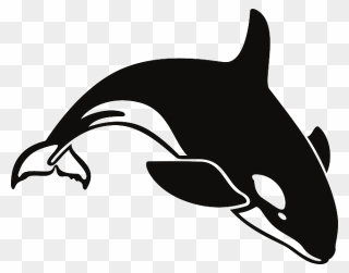 Water, Ocean, Whale, Swim, Killer, Swimming - Orca Clipart Black And White - Png Download