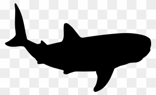 Whale Shark Clipart Ikan - Outline Whale Shark Silhouette - Png Download