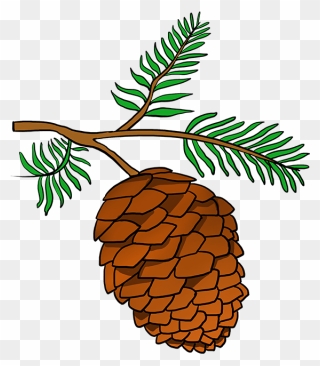 How To Draw Pinecone - Pine Cone Drawing Easy Clipart