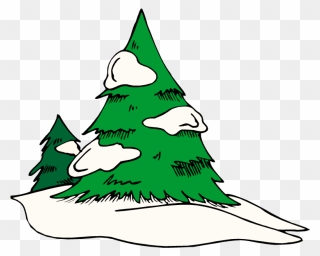 Snow Covered Trees Png Clipart Transparent Png