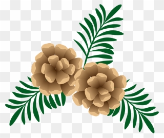 Pinecone Clipart - Illustration - Png Download