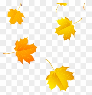 Maple Leaf Yellow Clip Art - Transparent Yellow Leaf Png
