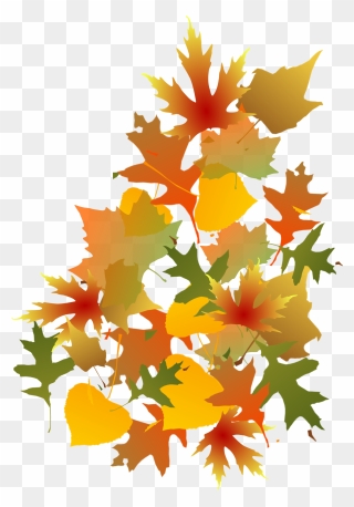 Fall Leaf Clip Art - Png Download