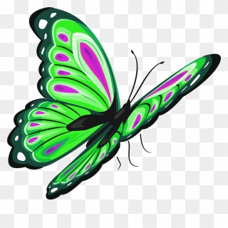 Butterfly Clip Art - Transparent Butterfly Clipart - Png Download