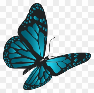 Png Download Butterfly Png Clipart
