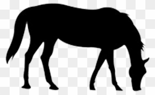 The Outline Of The Horse Png Download - Transparent Outline Of A Horse Clipart