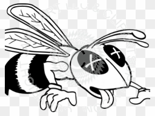 Free Png Bee Clip Art Download Page 2 Pinclipart - angry flying bee roblox
