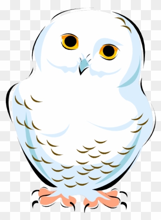Snowy Owl Clip Art Image Vector Graphics - Cute Snowy Owl Clip Art - Png Download