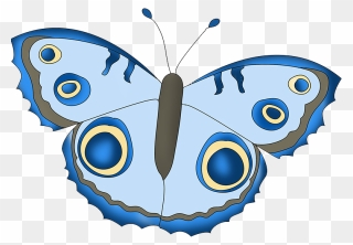 Blue Fantasy Colored Butterfly Clipart - Aglais Io - Png Download