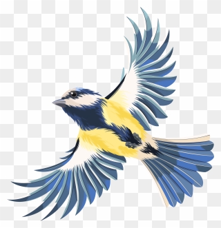 Bird Flight Bird Flight Clip Art - Flying Bird Png Clipart Transparent Png