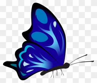Blue Butterfly Clipart - Colourful Drawing Of Butterflies - Png Download