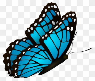 Flying Clipart Blue Butterfly - Png Download