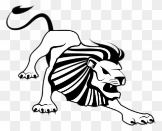 Clipart Lion Black And White - Cartoon Tiger And Lion Drawing - Png Download